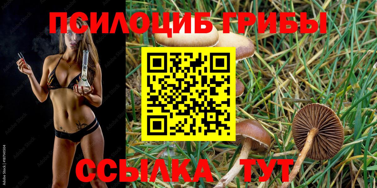 Галлюциногенные грибы мицелий Дедовск