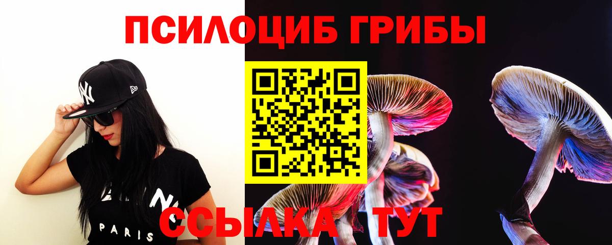 Галлюциногенные грибы мицелий  Вход с VPN  Дедовск 
